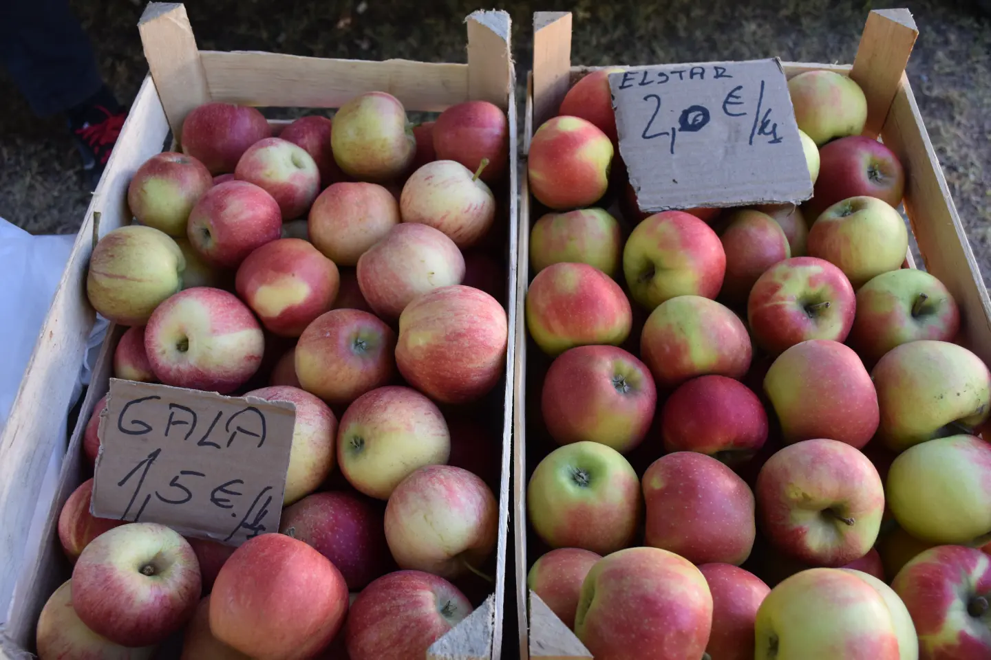 Sajam 27.8.2025., Čakovec (36)