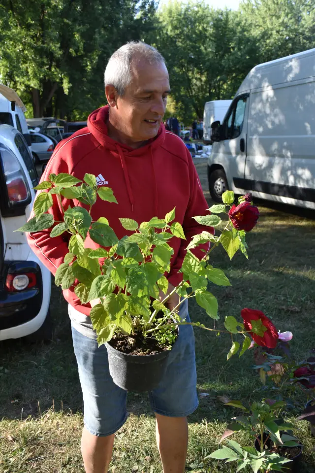 Sajam 27.8.2025., Čakovec (38)