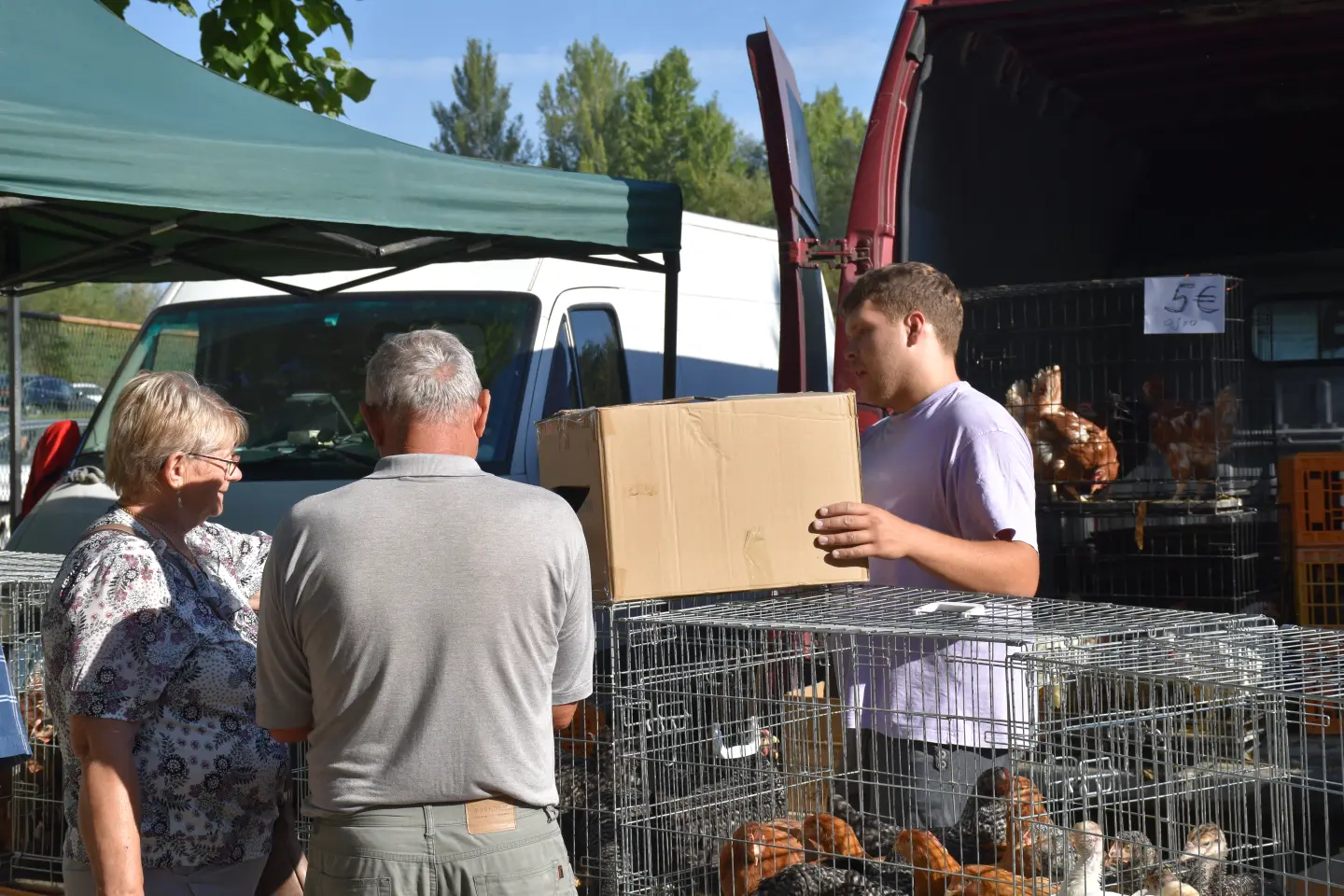 Sajam 27.8.2025., Čakovec (43)