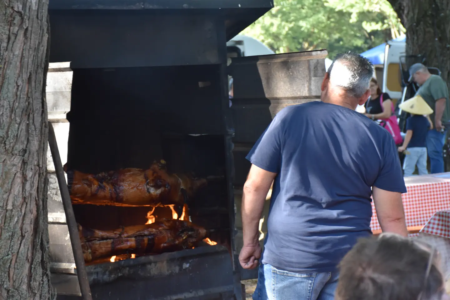 Sajam 27.8.2025., Čakovec (44)