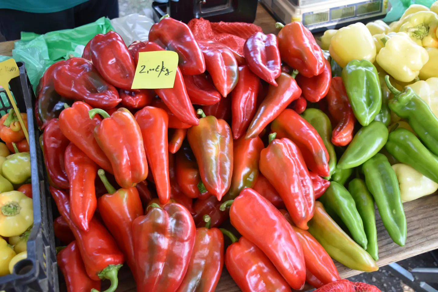 Sajam 27.8.2025., Čakovec (5)