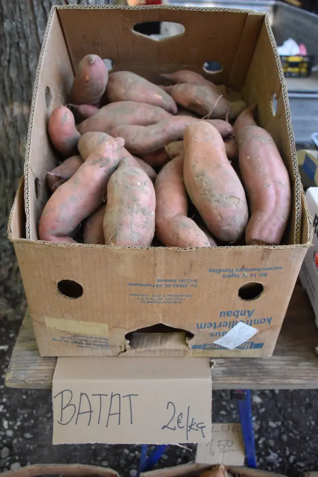 Sajam 27.8.2025., Čakovec (9)