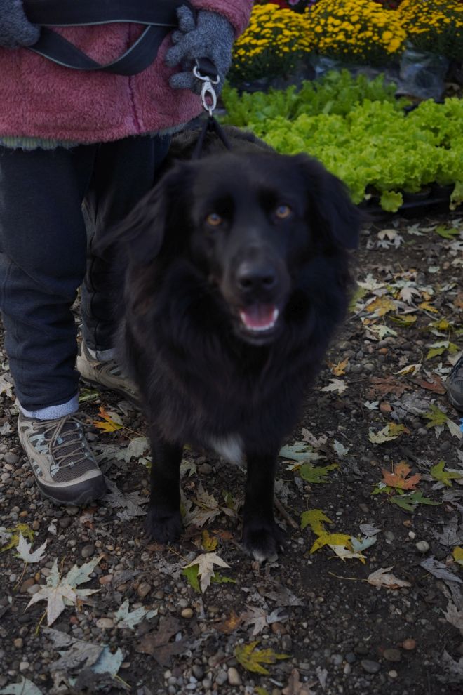 Sajam 29.10.2025 (19)