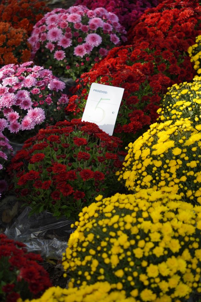 Sajam 29.10.2025 (20)