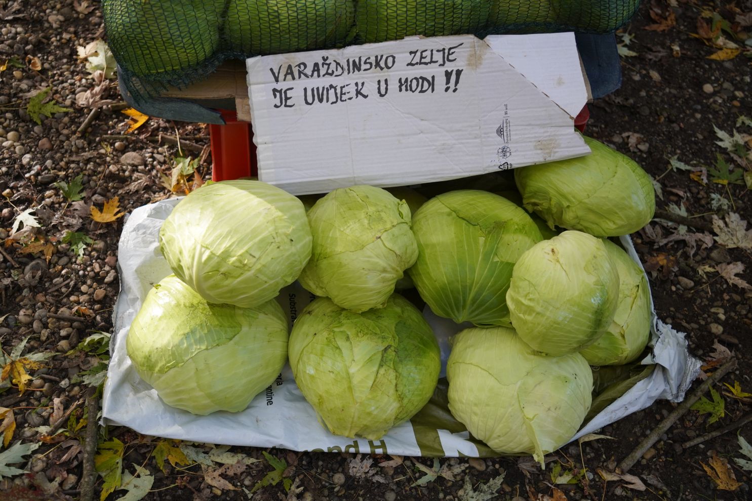 Sajam 29.10.2025 (23)