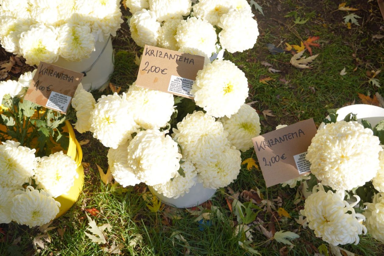 Sajam 29.10.2025 (31)