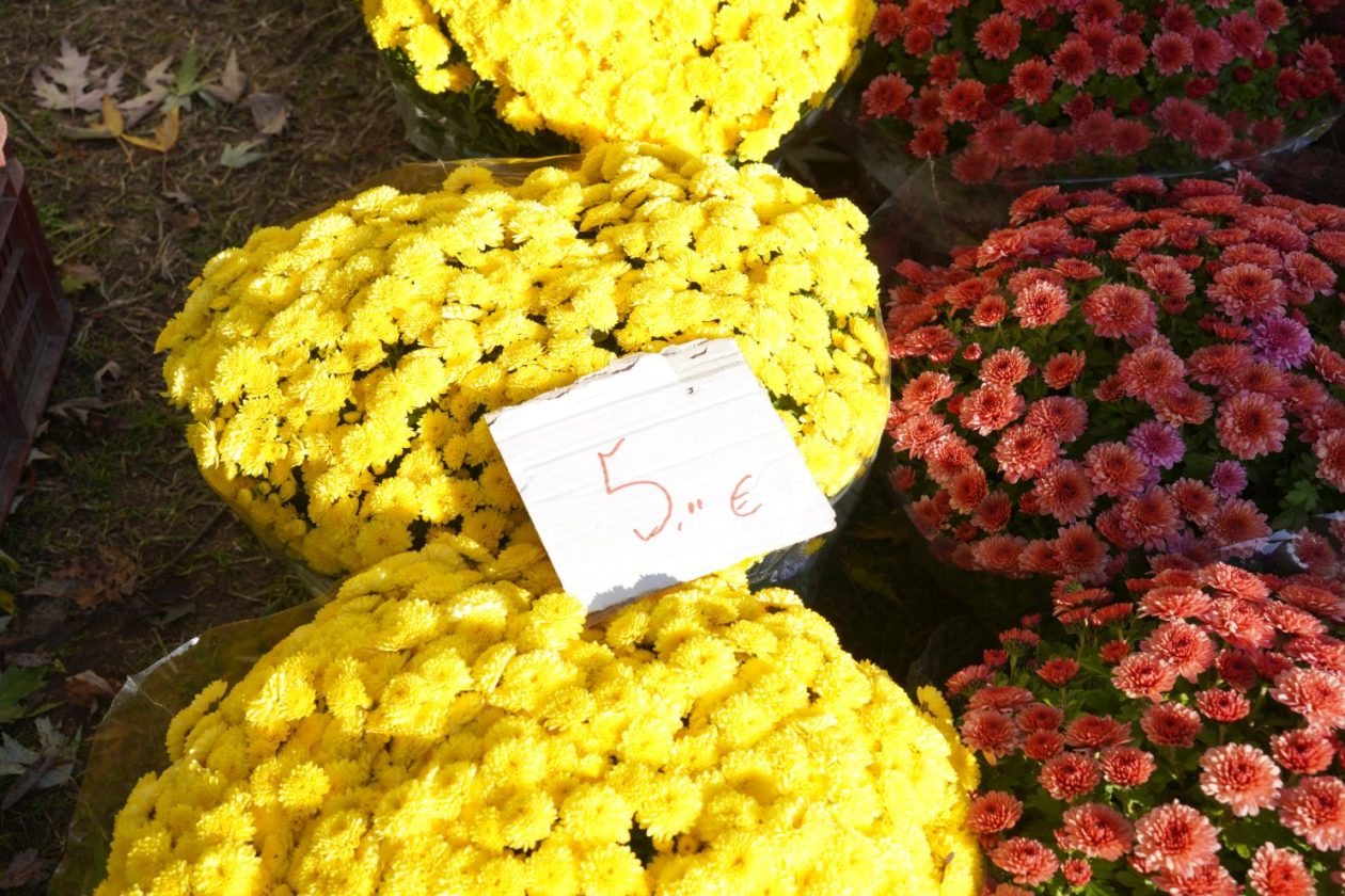 Sajam 29.10.2025 (33)