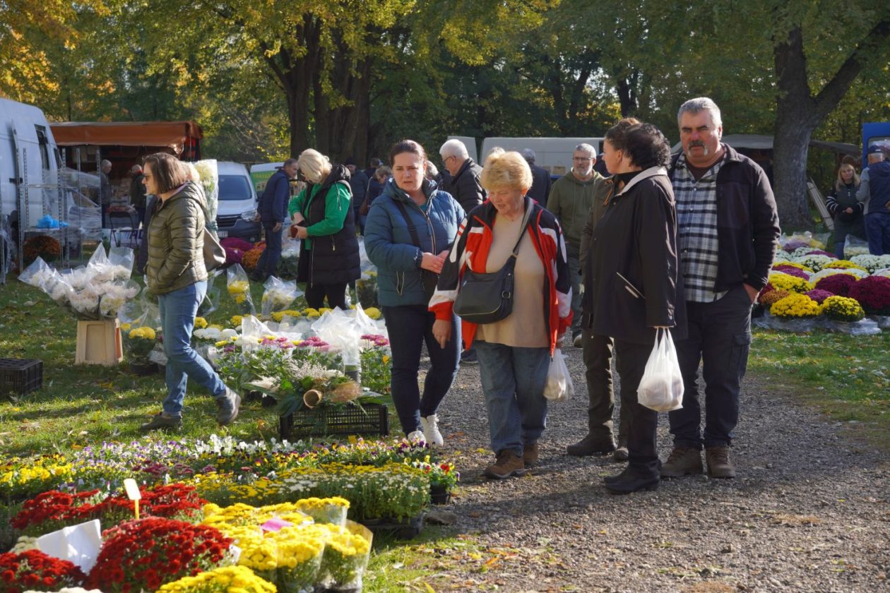 Sajam 29.10.2025 (38)