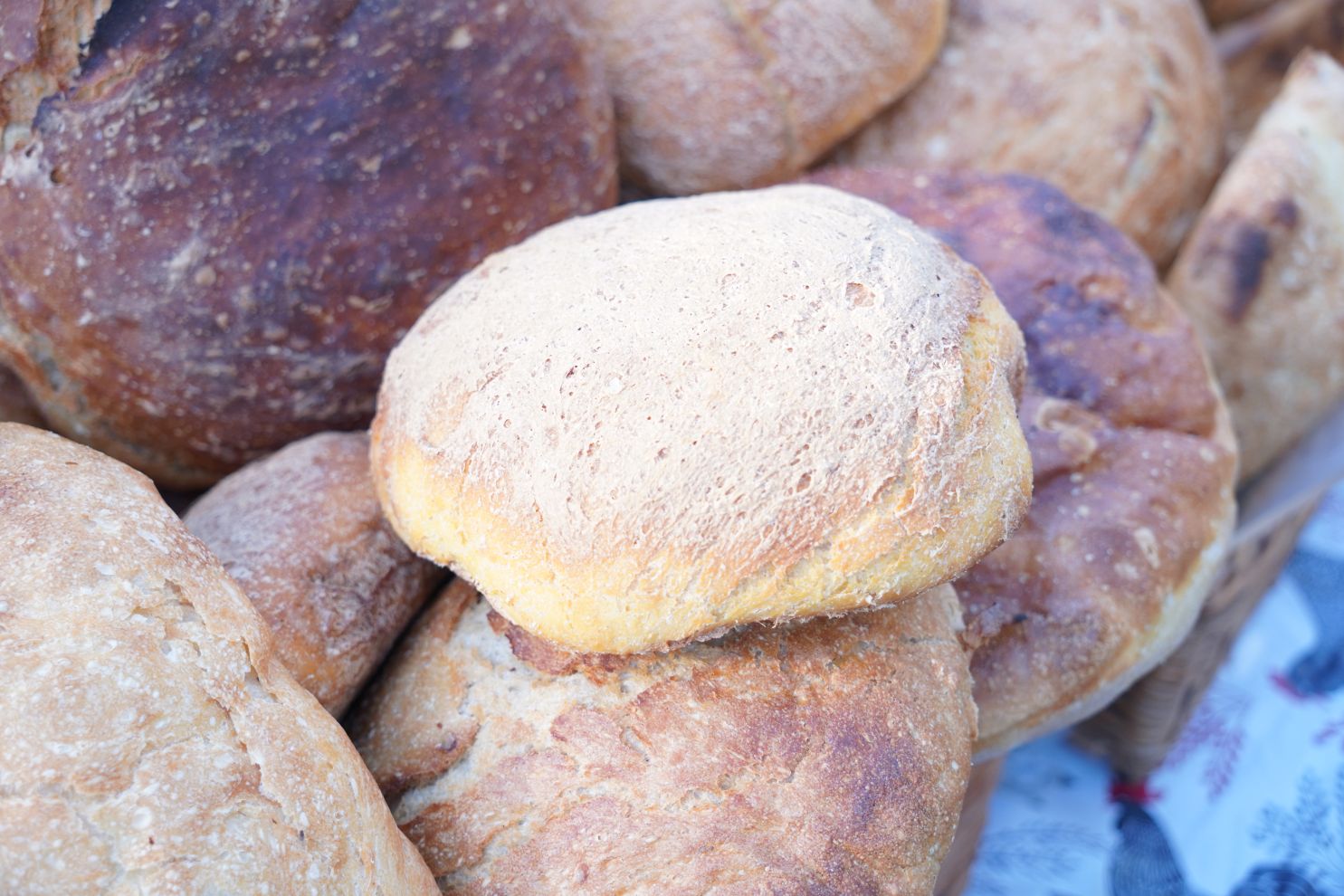 Sajam 29.10.2025 (4)