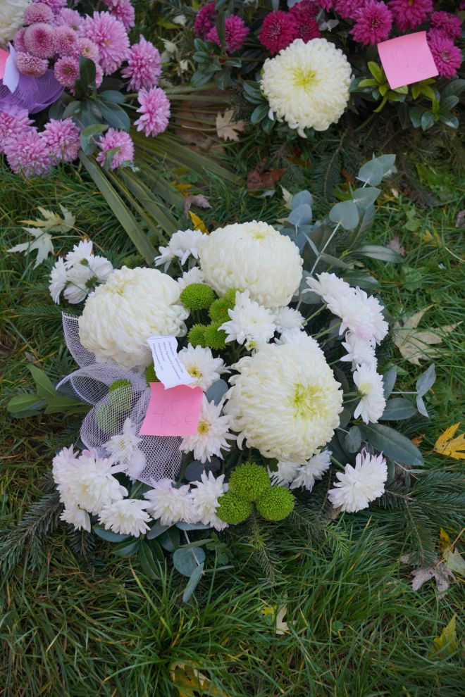 Sajam 29.10.2025 (41)