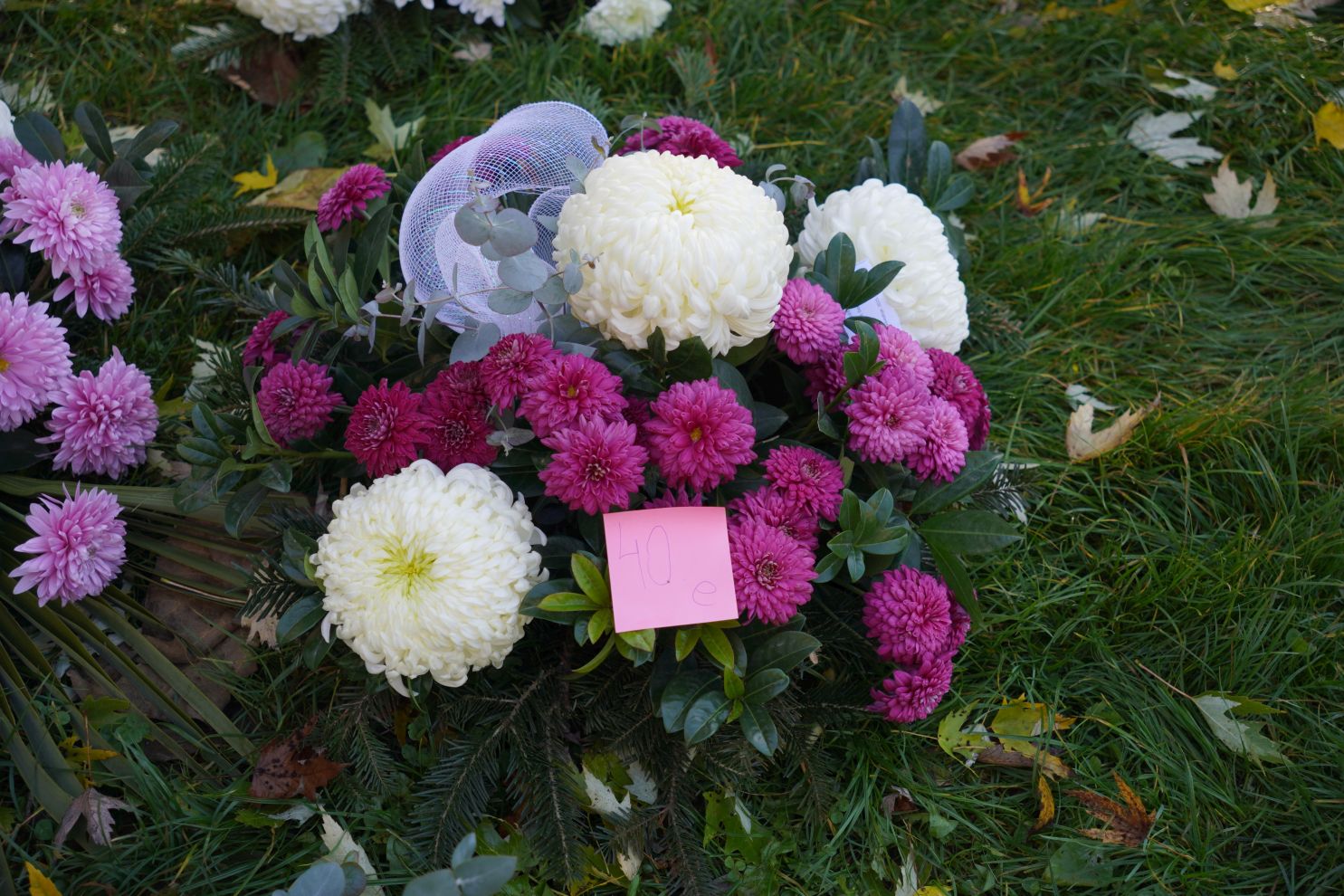 Sajam 29.10.2025 (42)