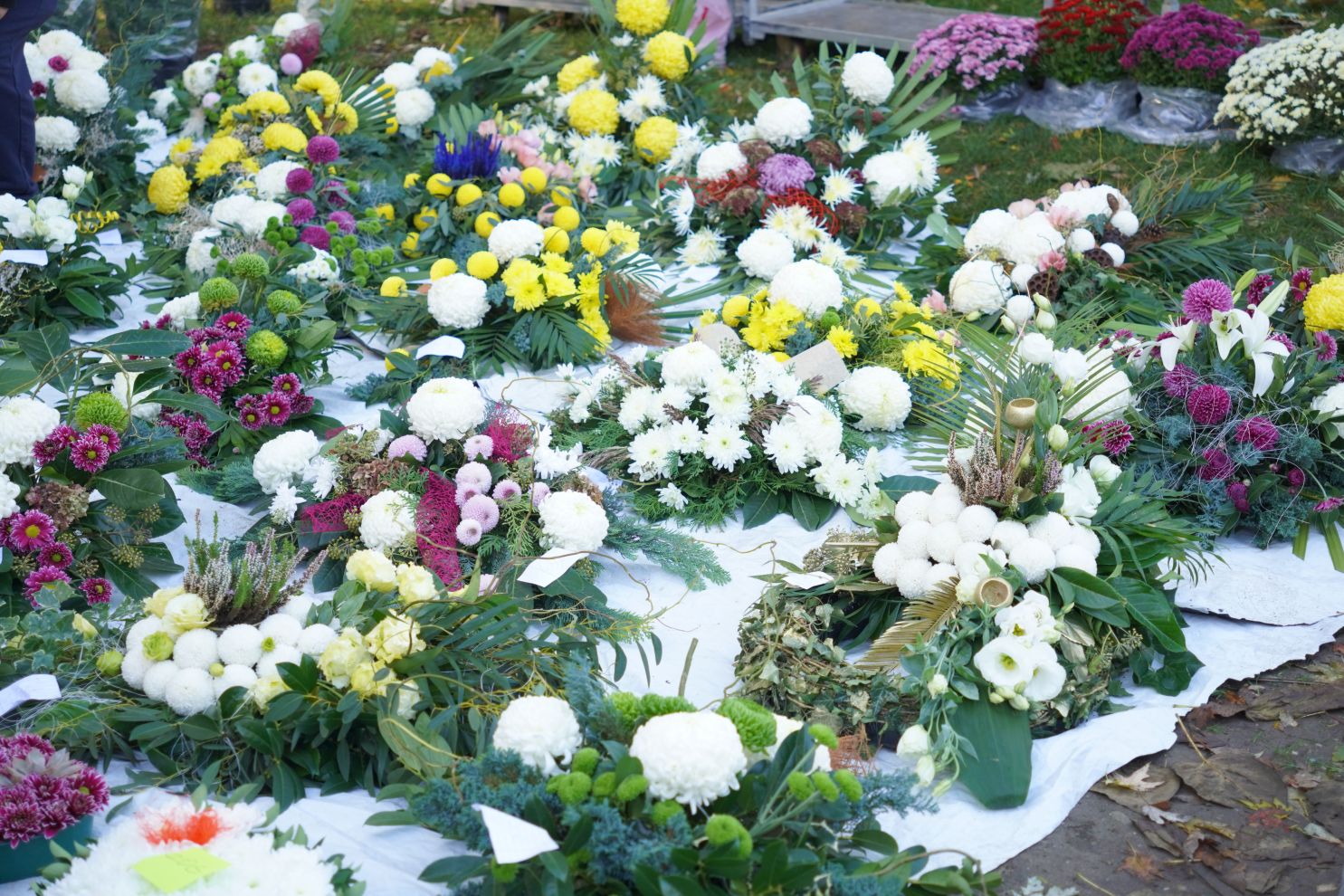 Sajam 29.10.2025 (7)