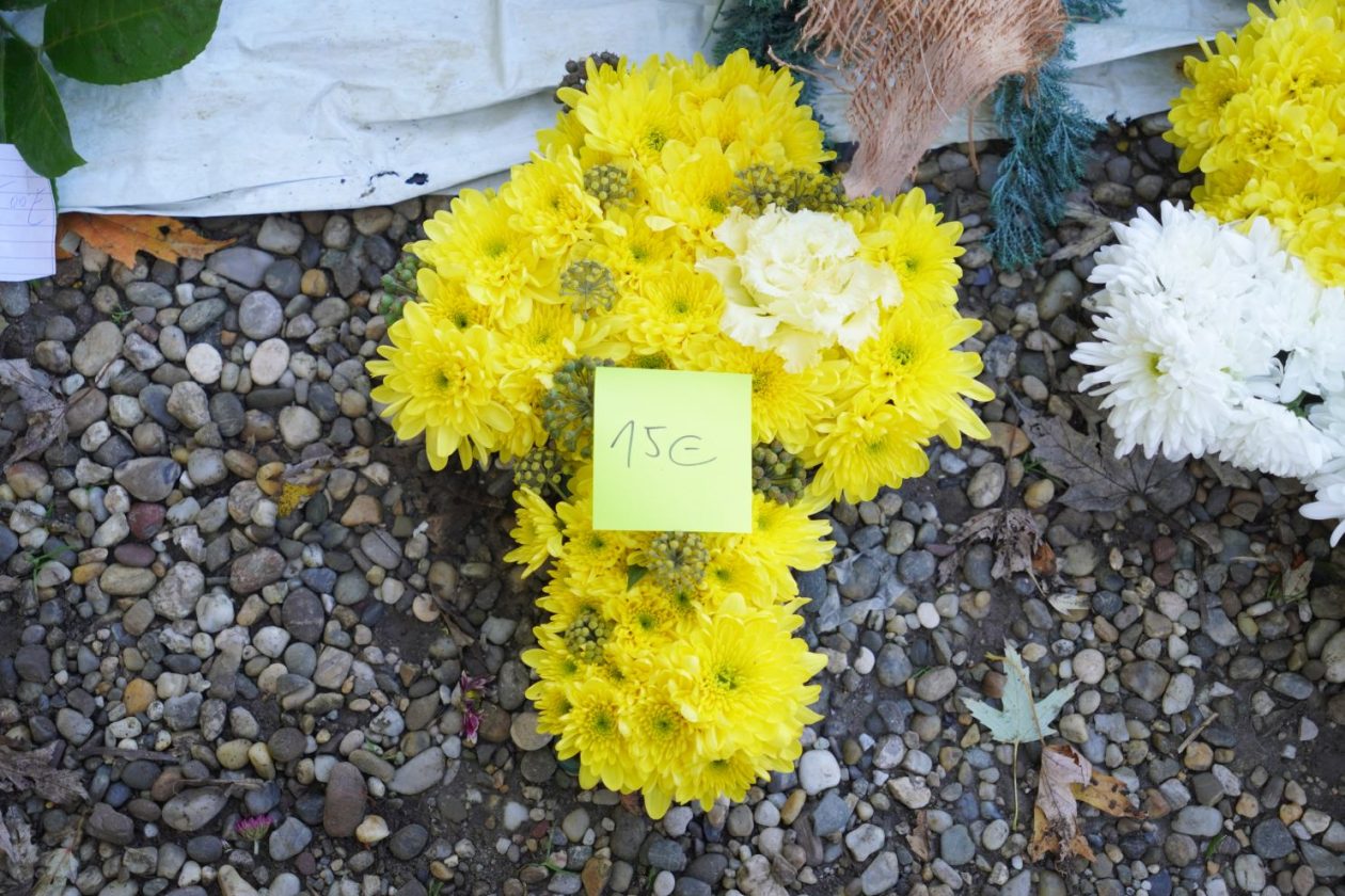 Sajam 29.10.2025 (8)