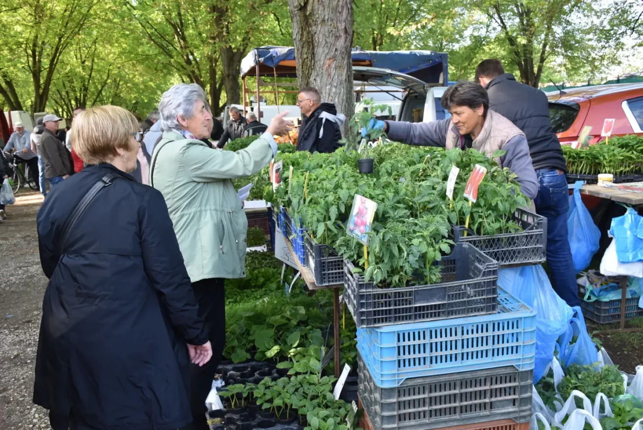 Sajam, 30.4.25., Čakovec (10) Sajam, 30.4.25., Čakovec (10)