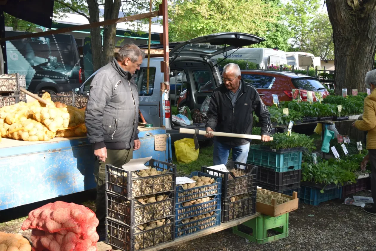 Sajam, 30.4.25., Čakovec (11) Sajam, 30.4.25., Čakovec (11)