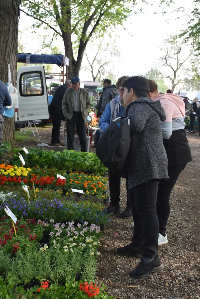 Sajam, 30.4.25., Čakovec (13)