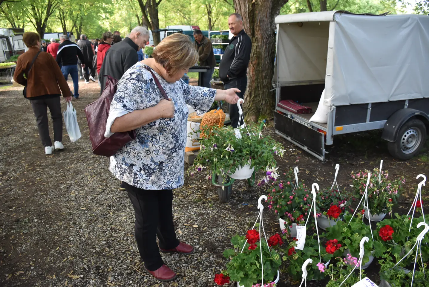 Sajam, 30.4.25., Čakovec (14)
