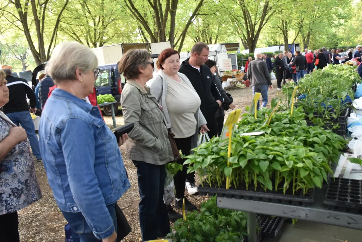 Sajam, 30.4.25., Čakovec (15) Sajam, 30.4.25., Čakovec (15)