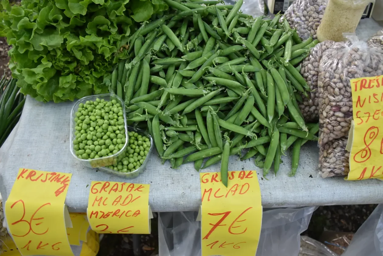 Sajam, 30.4.25., Čakovec (16) Sajam, 30.4.25., Čakovec (16)