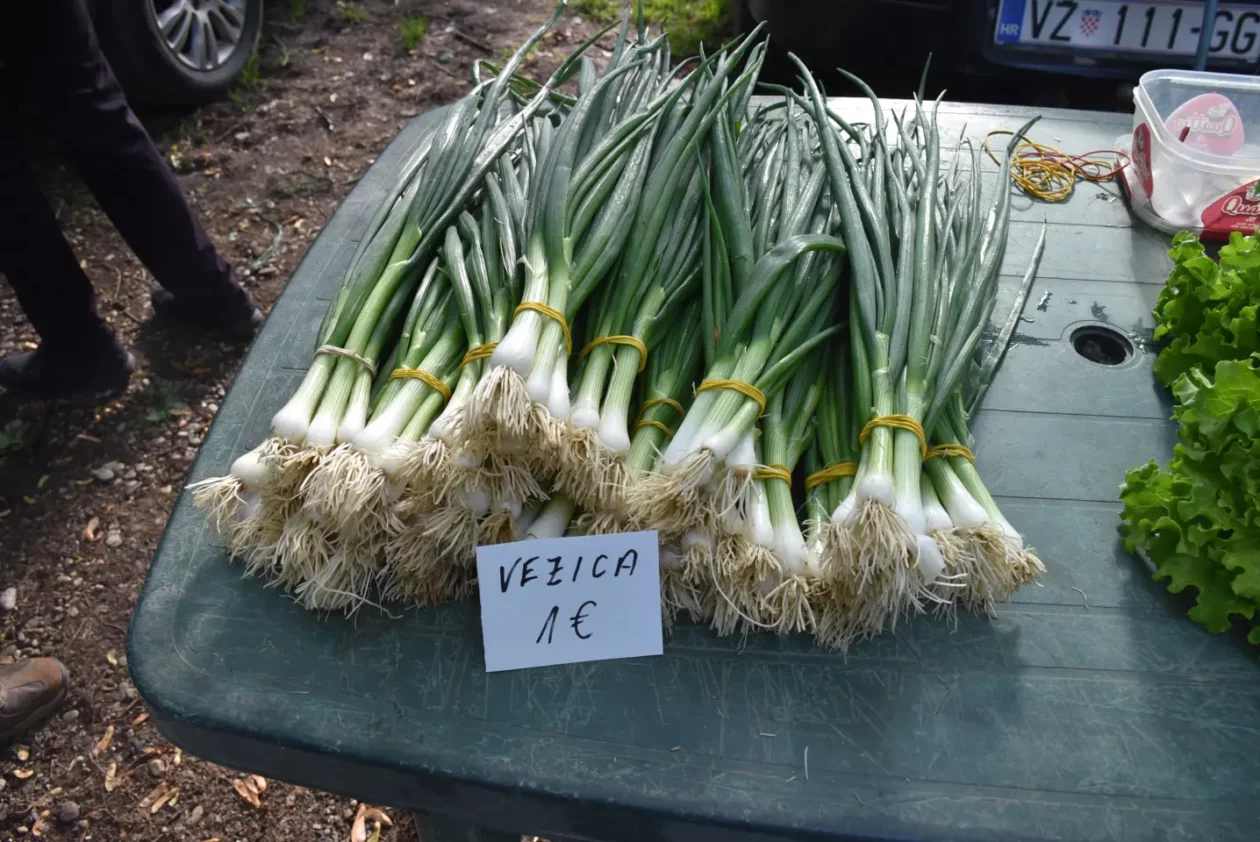 Sajam, 30.4.25., Čakovec (17) Sajam, 30.4.25., Čakovec (17)