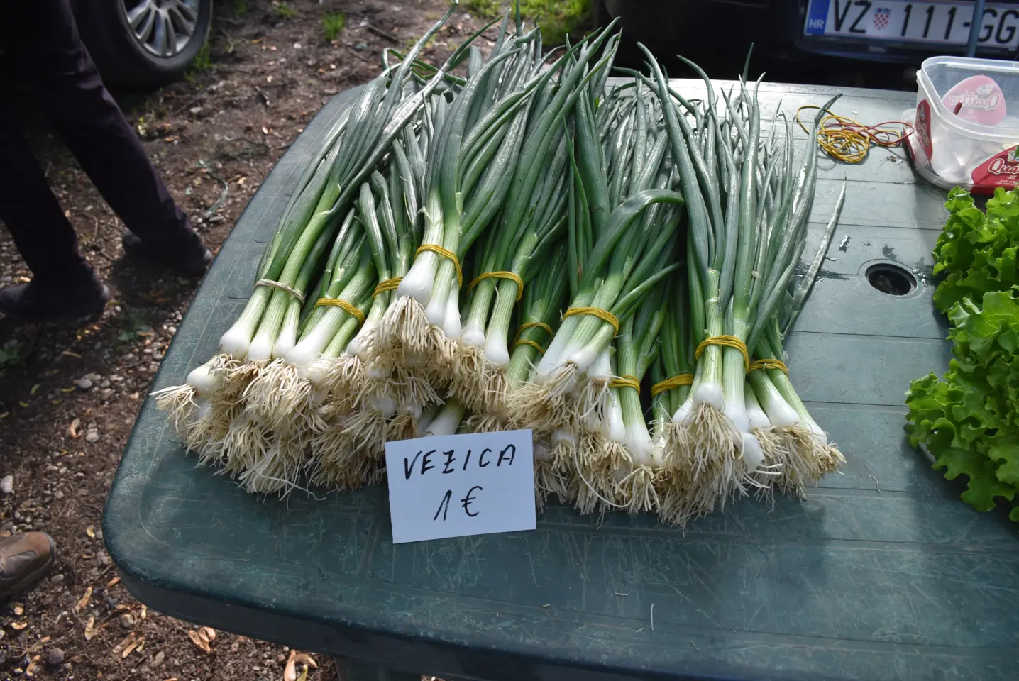 Sajam, 30.4.25., Čakovec (17)