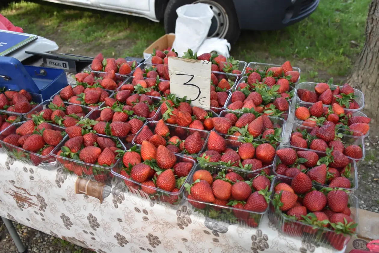 Sajam, 30.4.25., Čakovec (19) Sajam, 30.4.25., Čakovec (19)