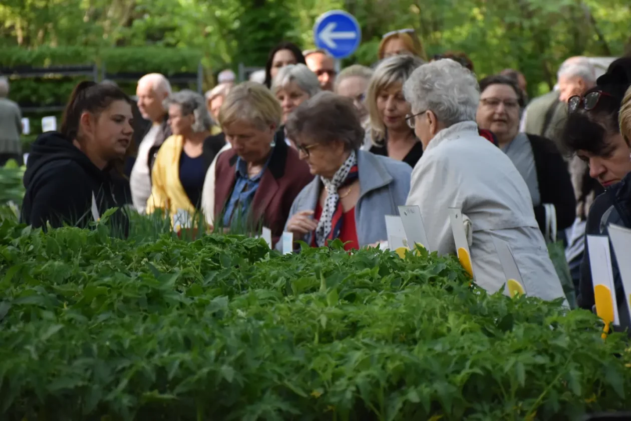 Sajam, 30.4.25., Čakovec (20) Sajam, 30.4.25., Čakovec (20)