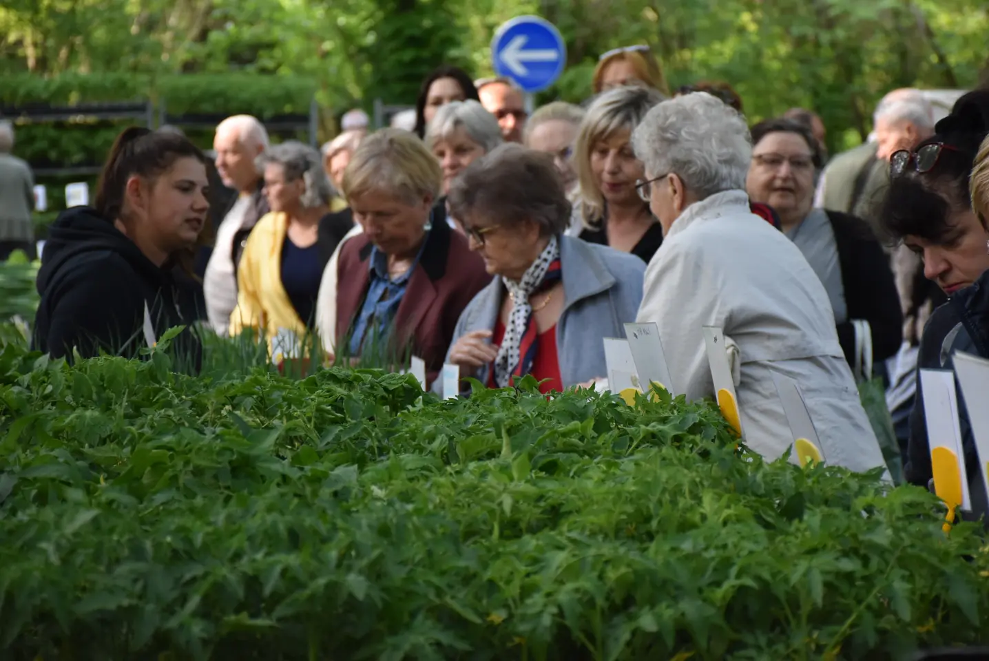 Sajam, 30.4.25., Čakovec (20)