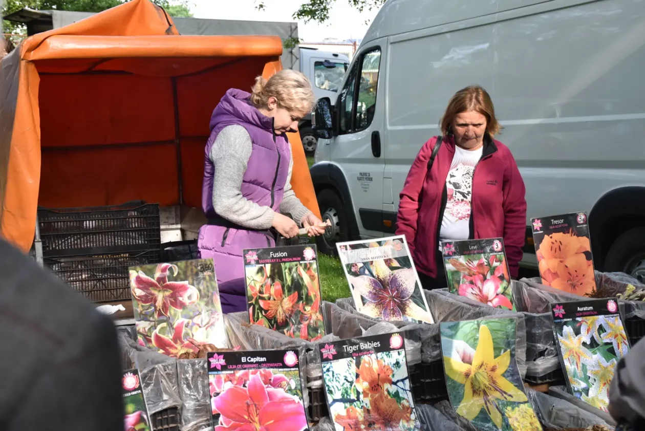 Sajam, 30.4.25., Čakovec (23) Sajam, 30.4.25., Čakovec (23)
