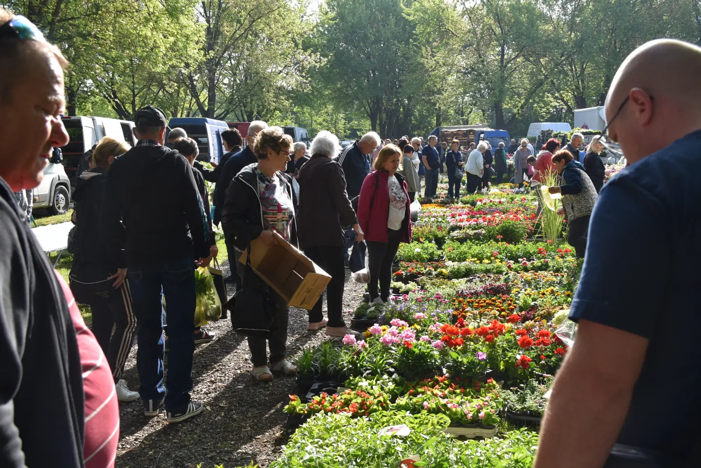 Sajam, 30.4.25., Čakovec (30)