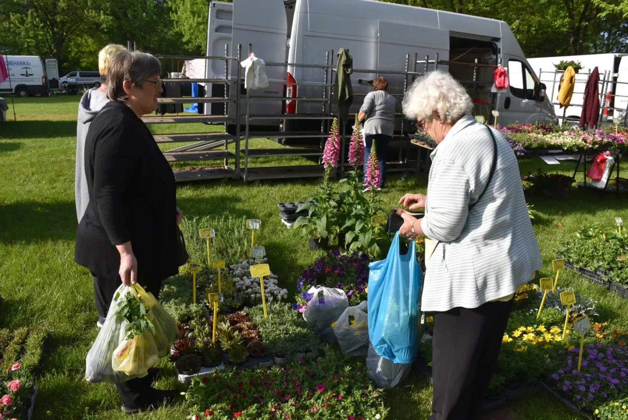 Sajam, 30.4.25., Čakovec (31) Sajam, 30.4.25., Čakovec (31)