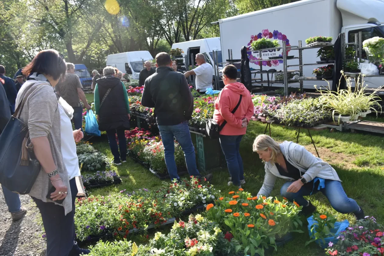 Sajam, 30.4.25., Čakovec (32) Sajam, 30.4.25., Čakovec (32)