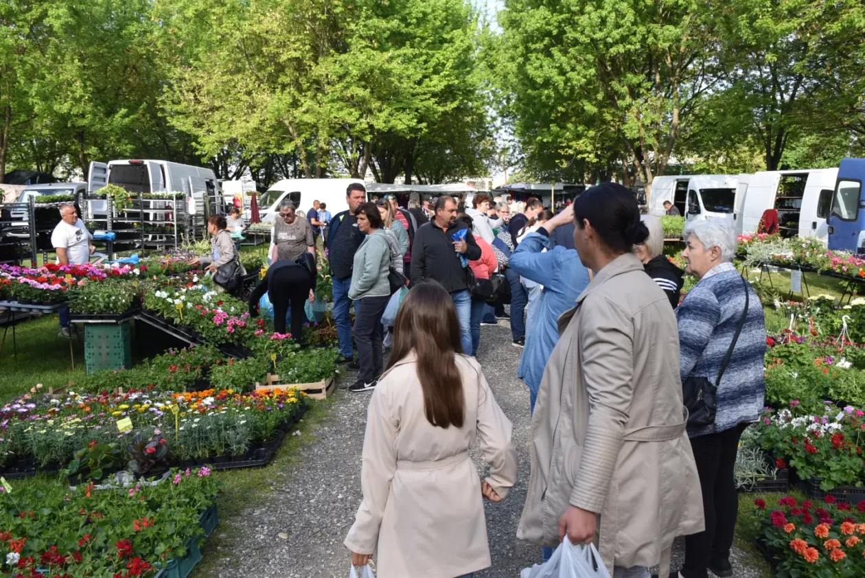 Sajam, 30.4.25., Čakovec (35) Sajam, 30.4.25., Čakovec (35)