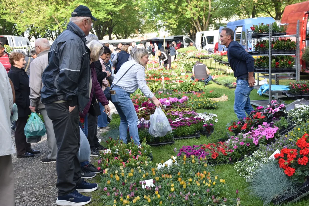 Sajam, 30.4.25., Čakovec (37) Sajam, 30.4.25., Čakovec (37)