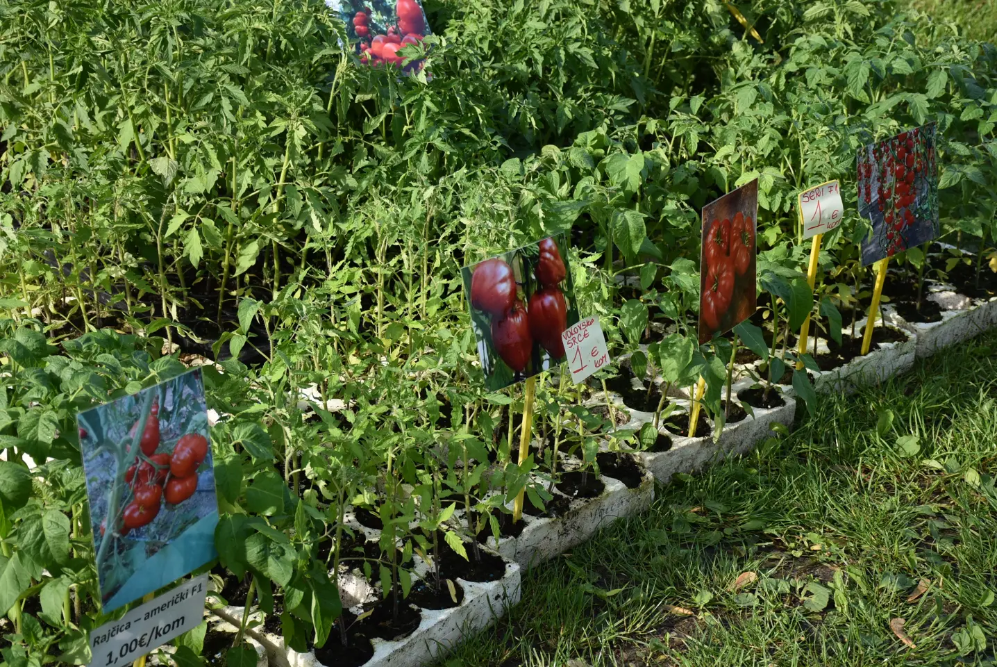 Sajam, 30.4.25., Čakovec (40)