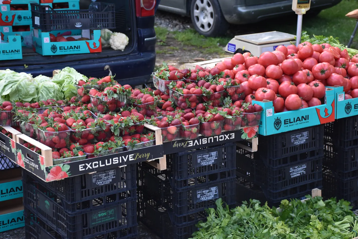 Sajam, 30.4.25., Čakovec (5)