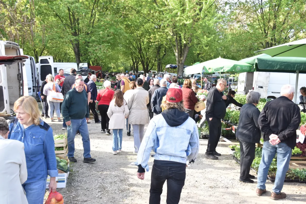Sajam, 30.4.25., Čakovec (56) Sajam, 30.4.25., Čakovec (56)