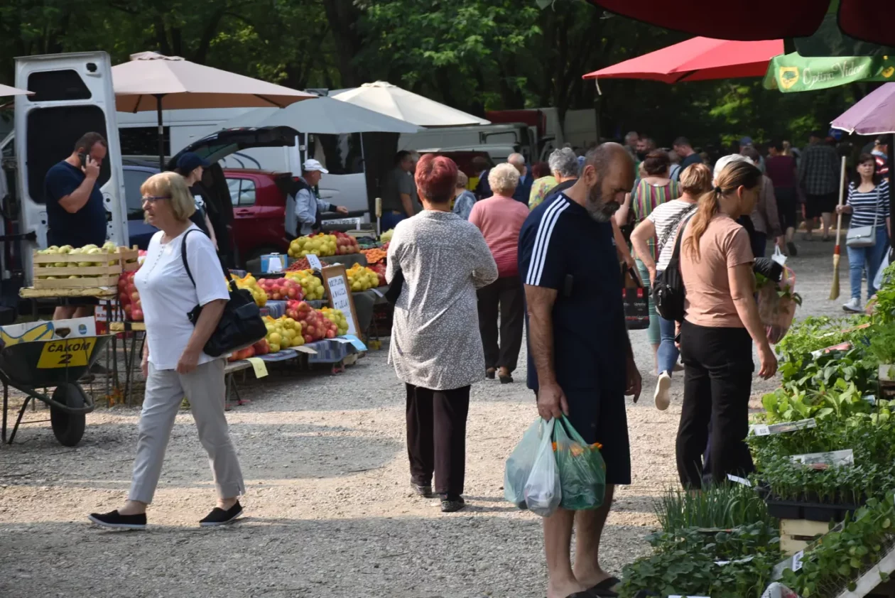 Sajam, Čakovec, 11.6.2025 (1)