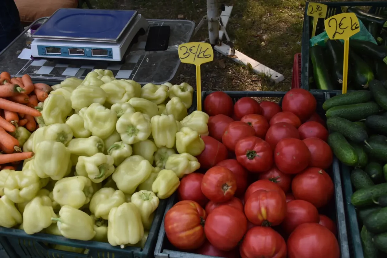Sajam, Čakovec, 11.6.2025 (12)