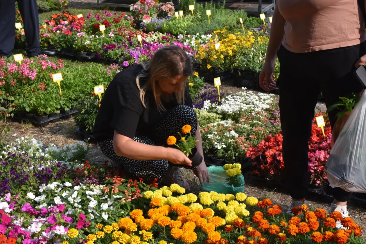 Sajam, Čakovec, 11.6.2025 (14)