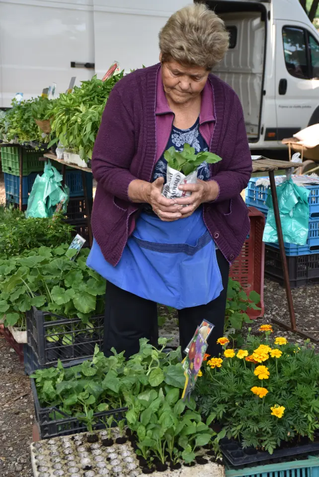 Sajam, Čakovec, 11.6.2025 (15) Sajam, Čakovec, 11.6.2025 (15)