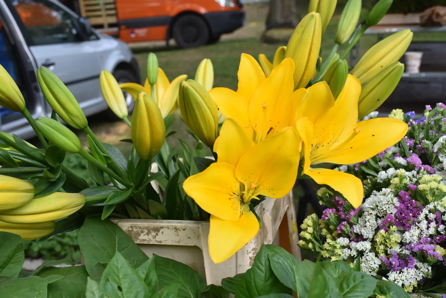 Sajam, Čakovec, 11.6.2025 (16) Sajam, Čakovec, 11.6.2025 (16)