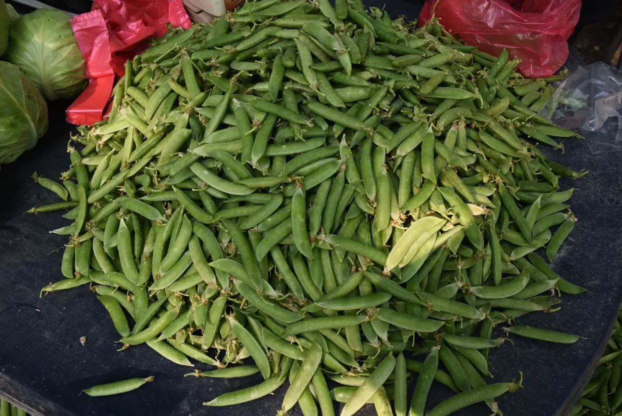 Sajam, Čakovec, 11.6.2025 (18)