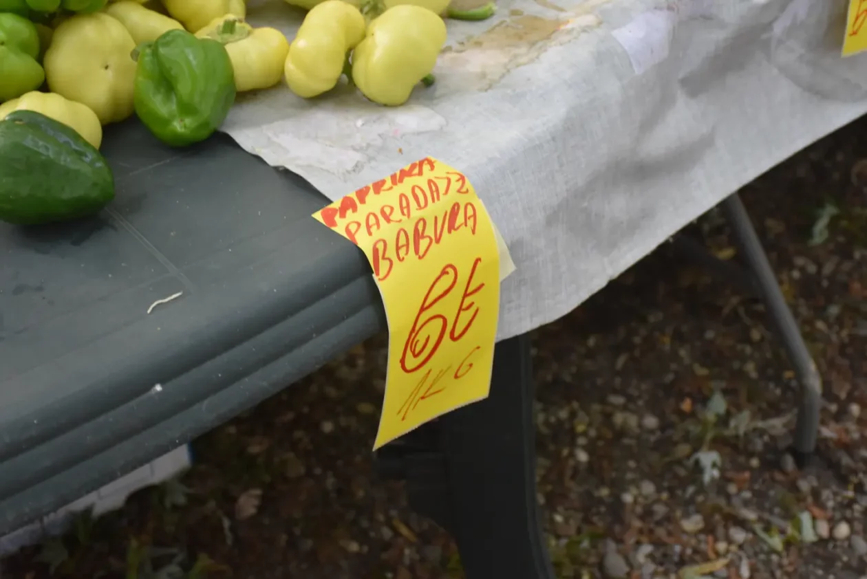 Sajam, Čakovec, 11.6.2025 (21)