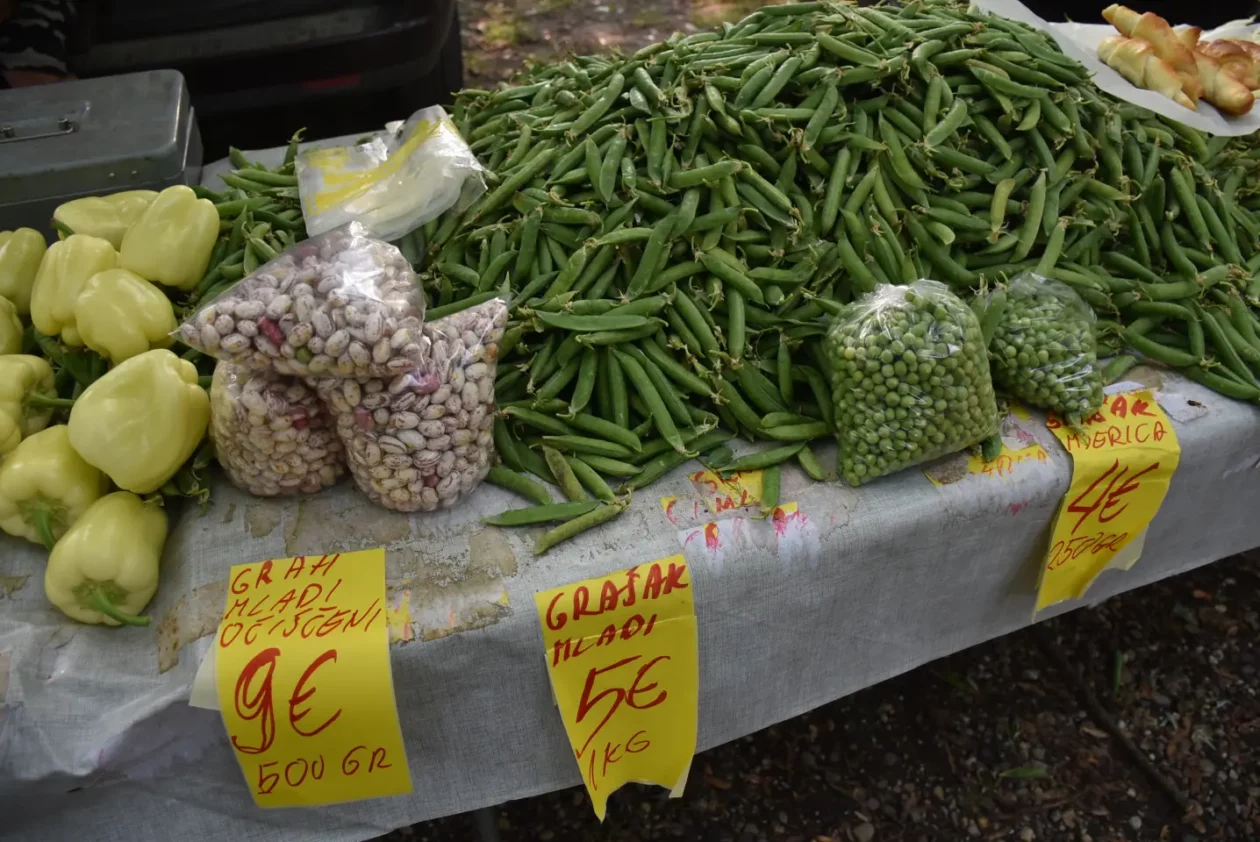 Sajam, Čakovec, 11.6.2025 (22)