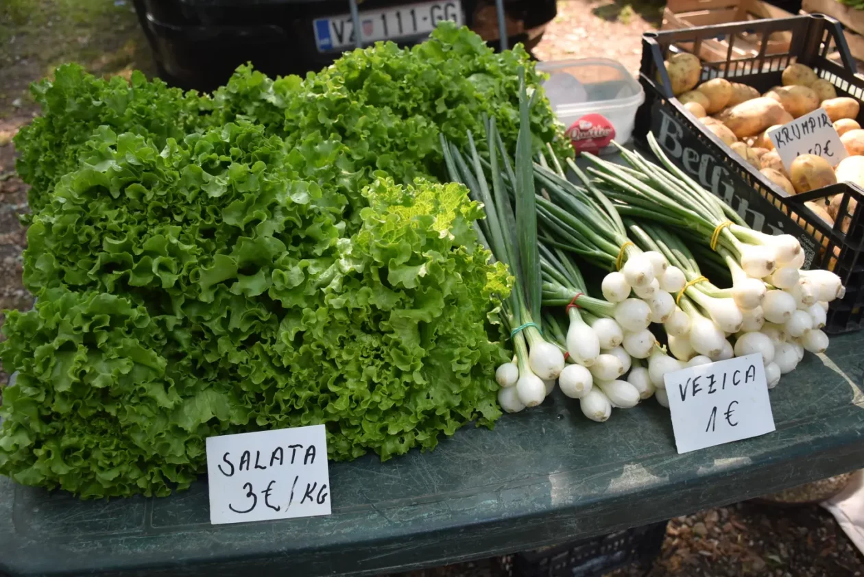 Sajam, Čakovec, 11.6.2025 (24)