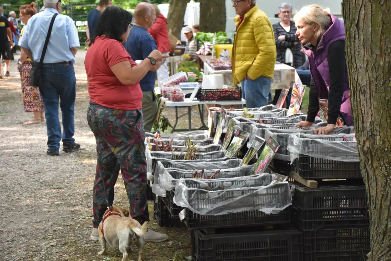 Sajam, Čakovec, 11.6.2025 (29)