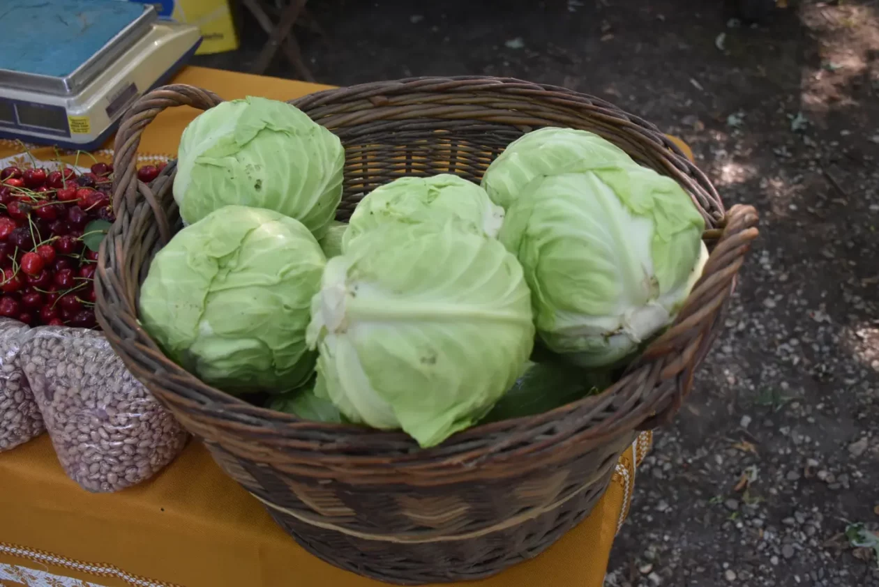 Sajam, Čakovec, 11.6.2025 (32) Sajam, Čakovec, 11.6.2025 (32)