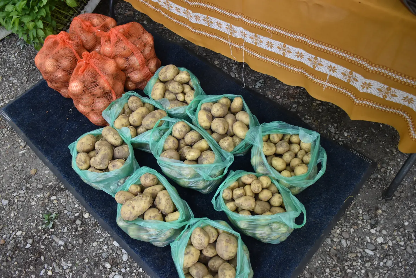 Sajam, Čakovec, 11.6.2025 (35)