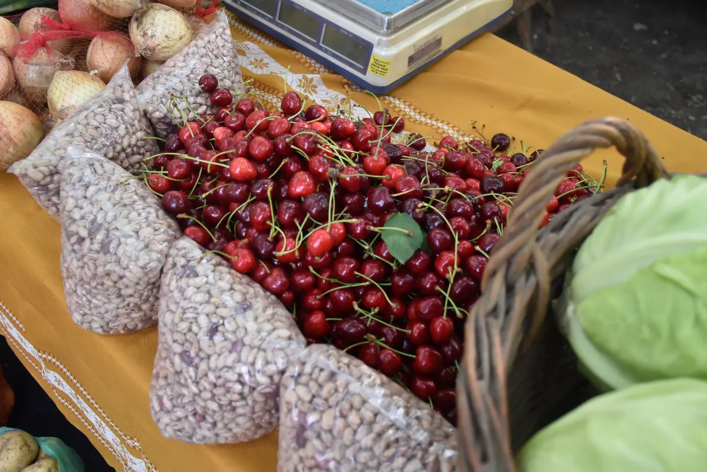 Sajam, Čakovec, 11.6.2025 (37)